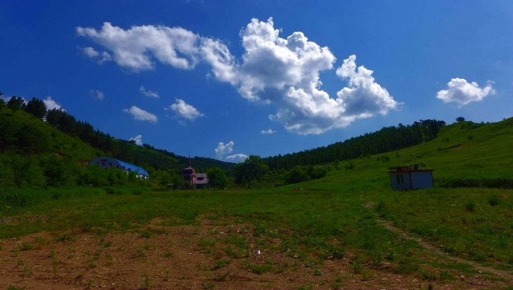 P1000207_����.jpg