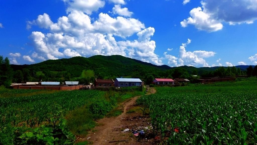 P1000209_����.jpg