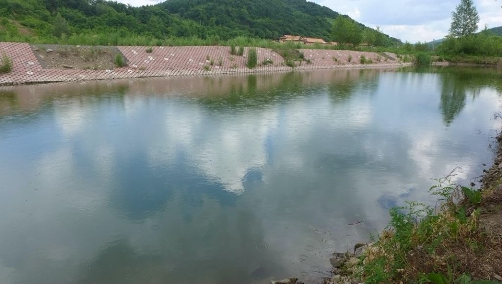 P1000231_����.jpg