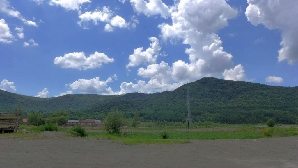 P1000228_����.jpg