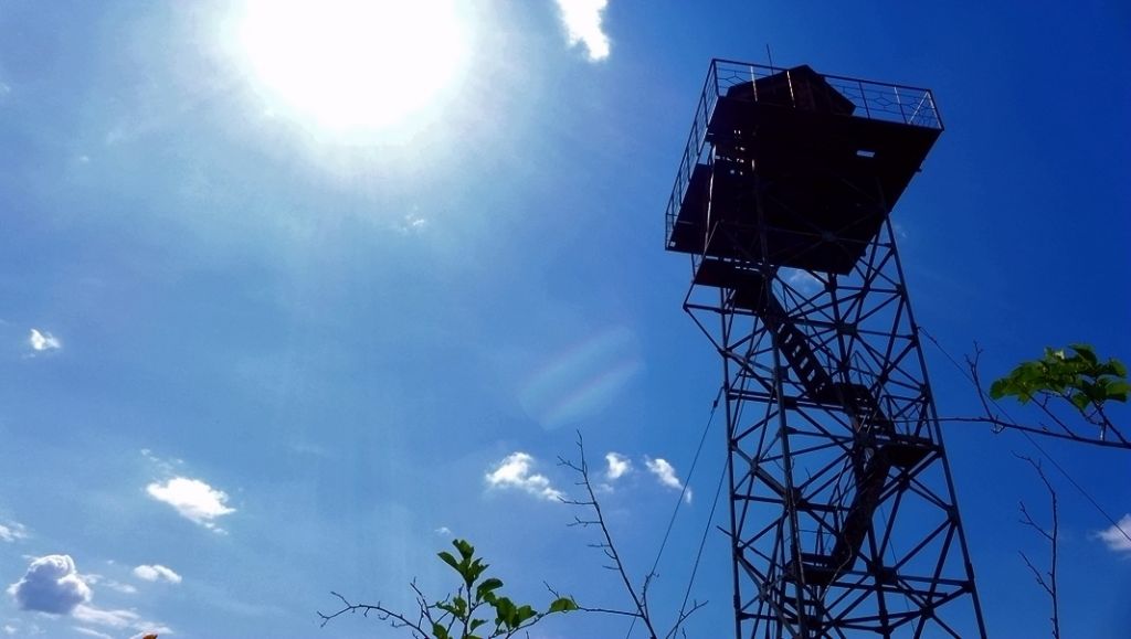P1000244_����.jpg