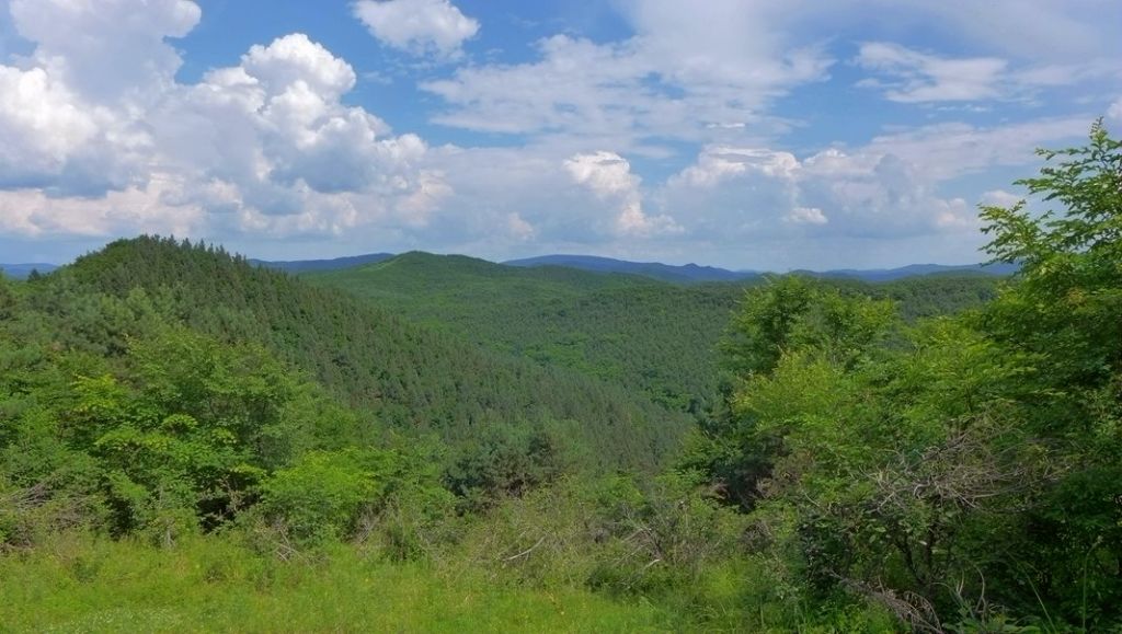 P1000241_����.jpg