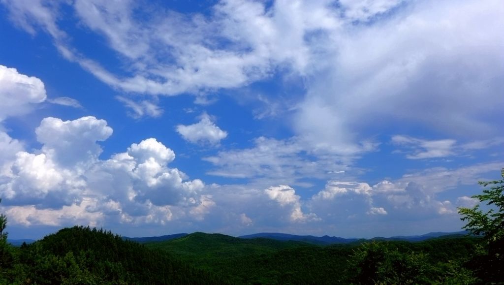 P1000242_����.jpg