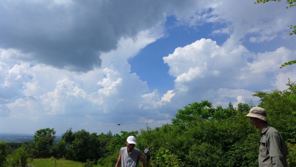 P1000258_����.jpg