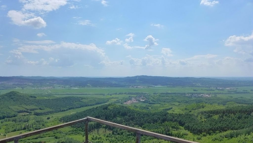 P1000247_����.jpg