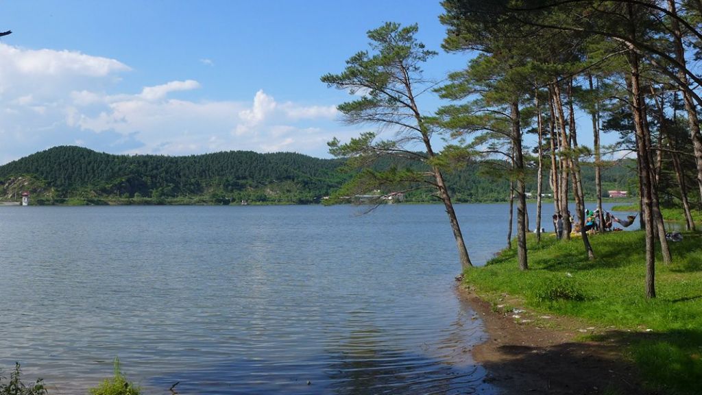 P1000290_����.jpg