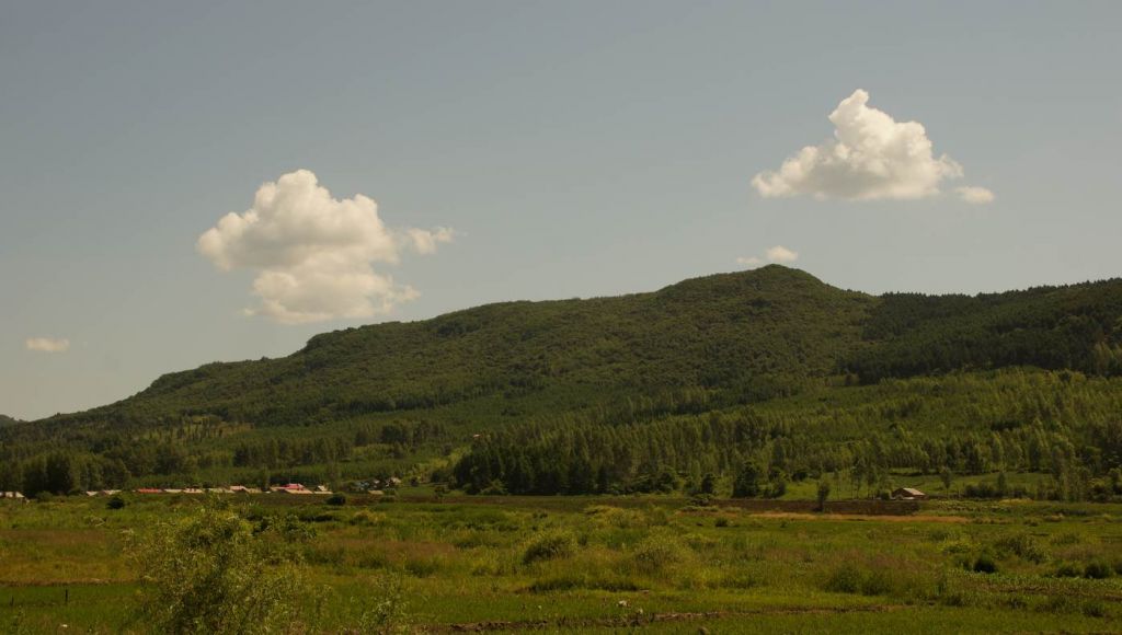 DSC01241.JPG