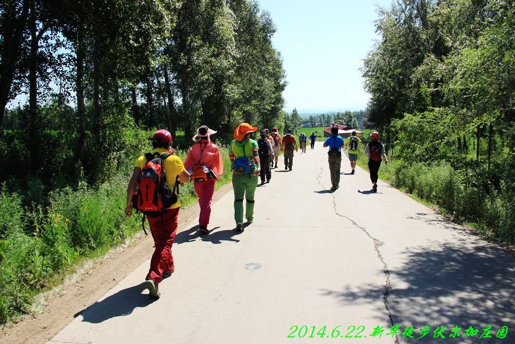 IMG_2784.jpg