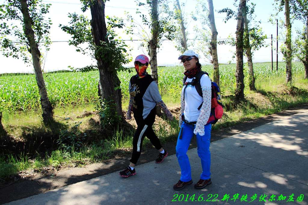 IMG_2800.jpg