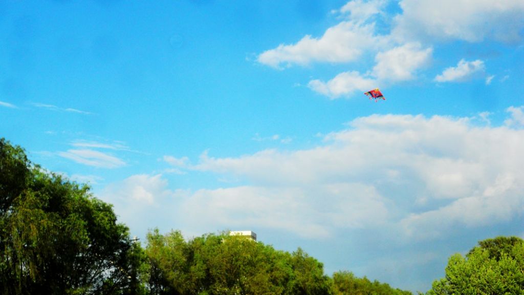 ��Ƭ 027.jpg
