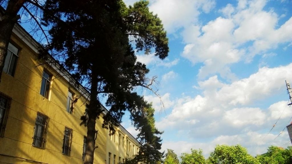 ��Ƭ 035.jpg