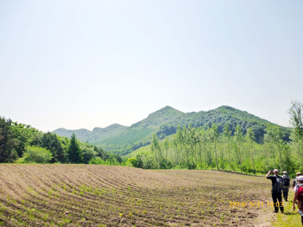 P1050737.jpg