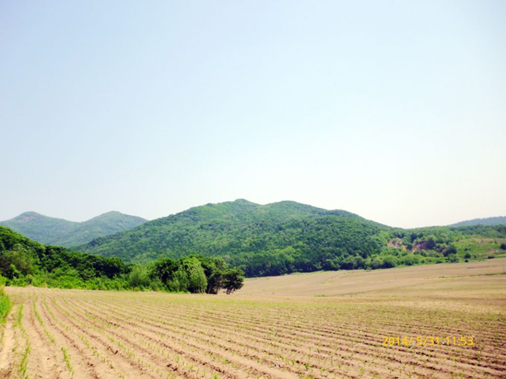 P1050744.jpg