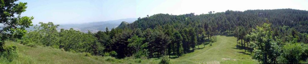 DSC06999-5-0.jpg