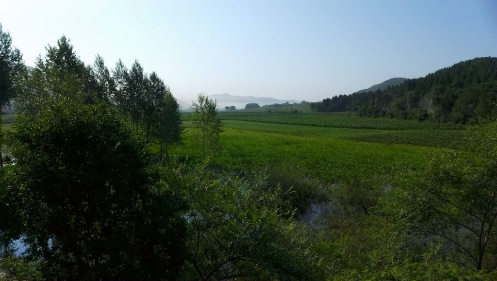 P1000378.JPG