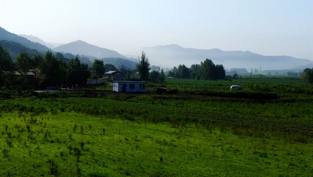 P1000383.JPG