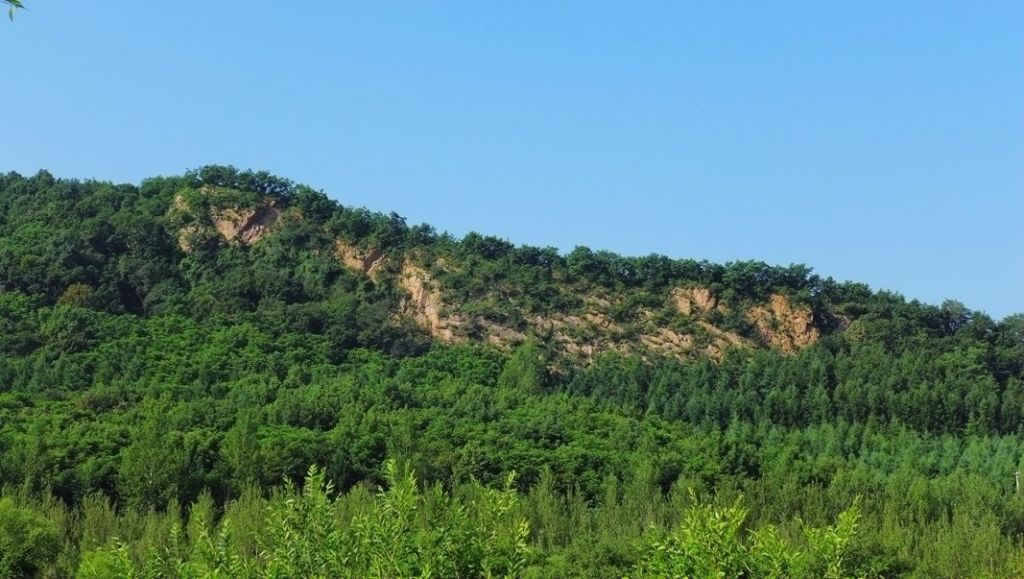 P1000401.JPG
