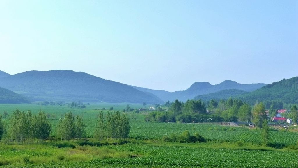 P1000396.JPG