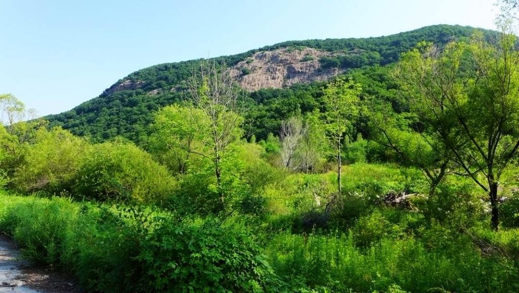 P1000408.JPG