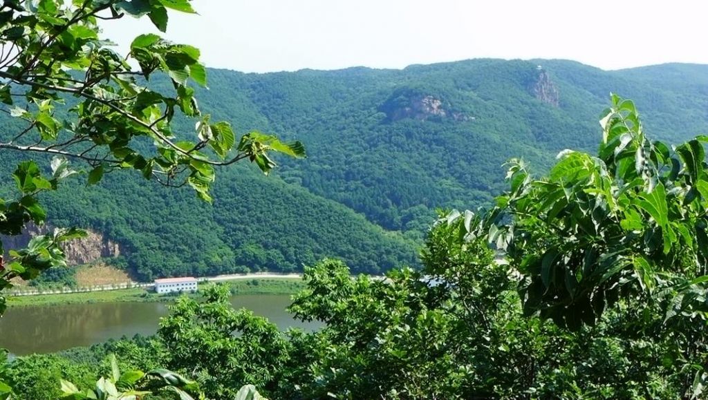 P1000435.JPG