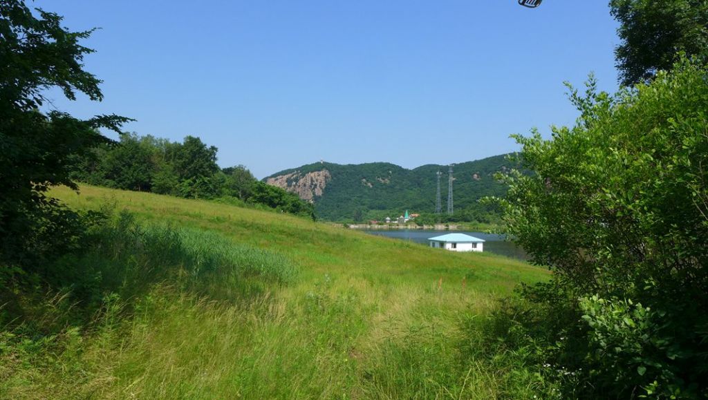 P1000470.JPG