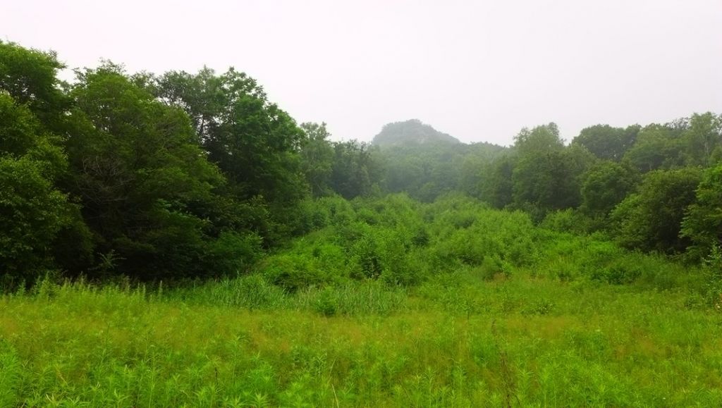 P1000556.JPG