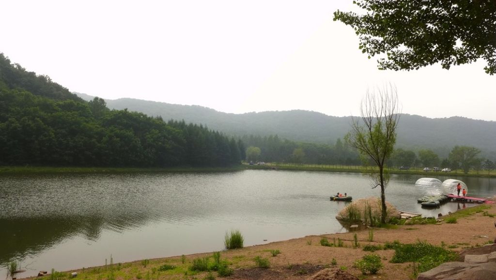 P1000631.JPG