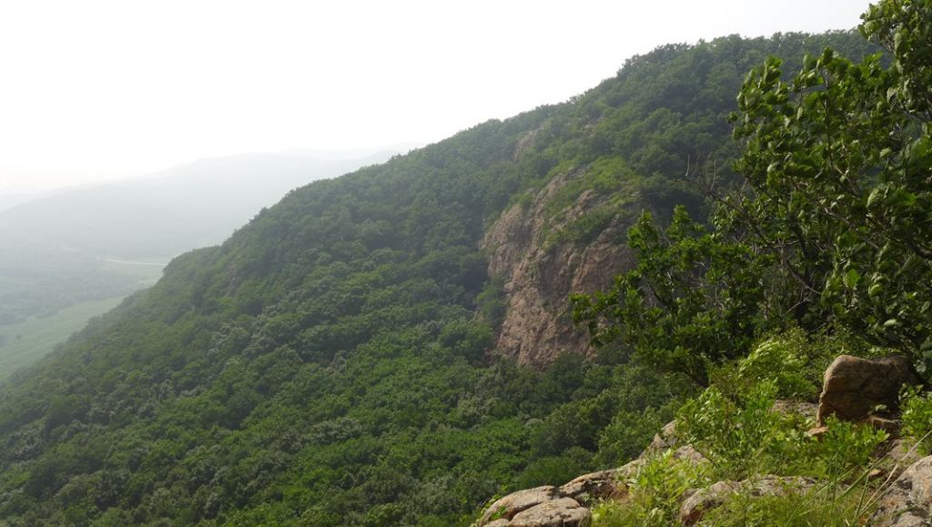 P1000665.JPG