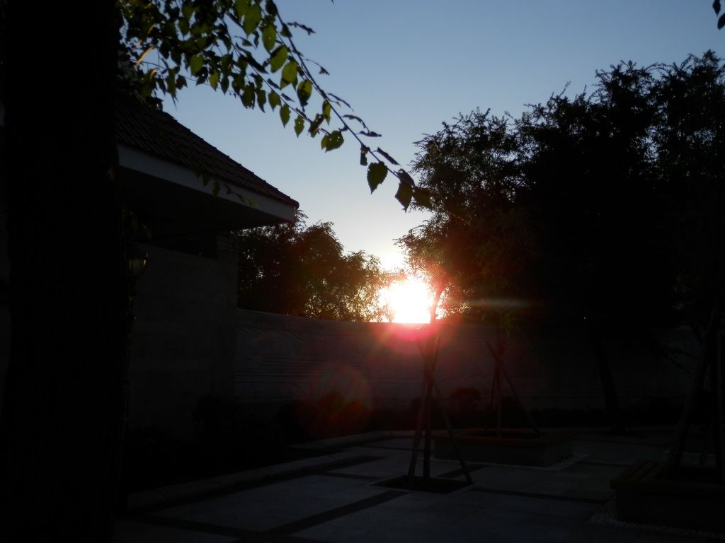 P9030011.JPG