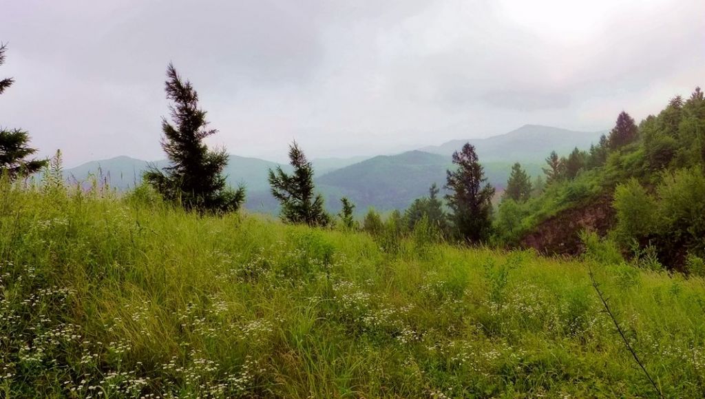 P1000715.JPG