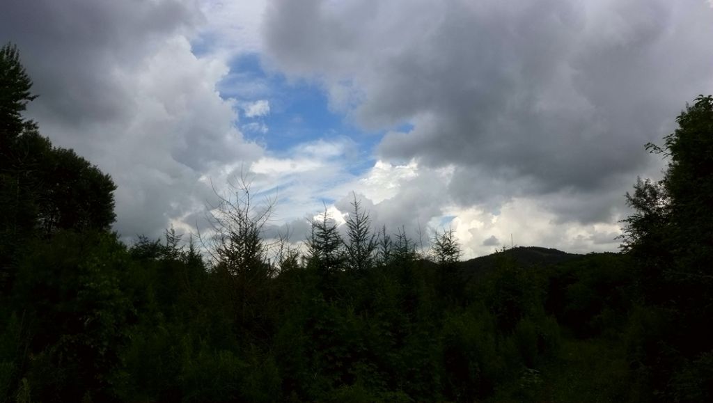 P1000732.JPG