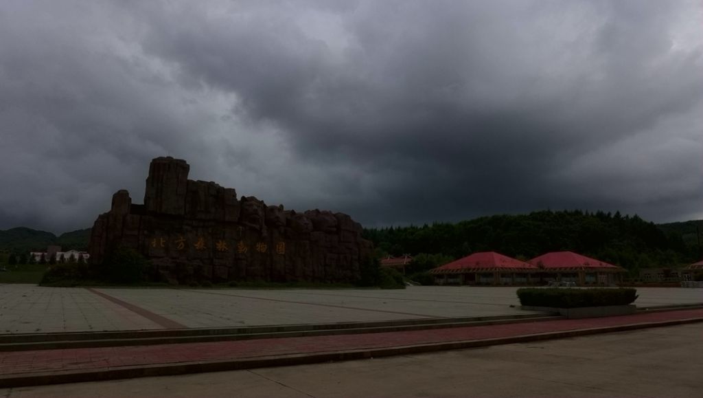 P1000737.JPG