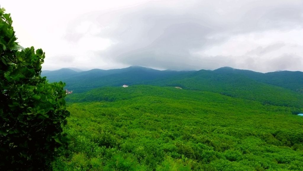 P1000759.JPG
