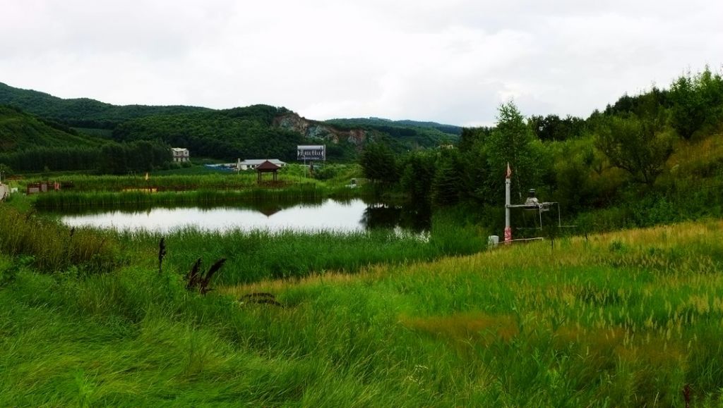 P1000754.JPG
