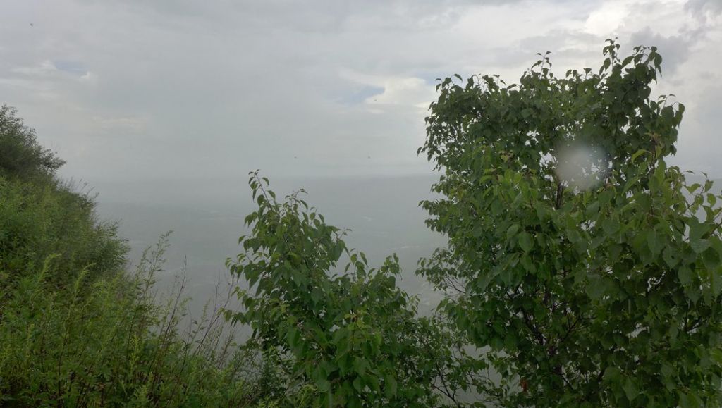 P1000774.JPG
