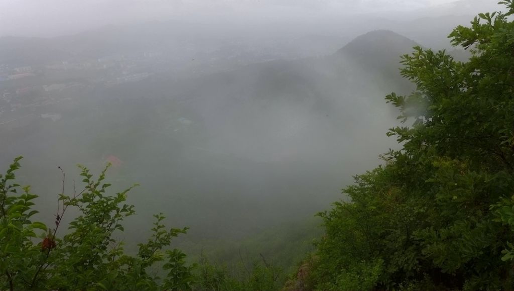 P1000775.JPG