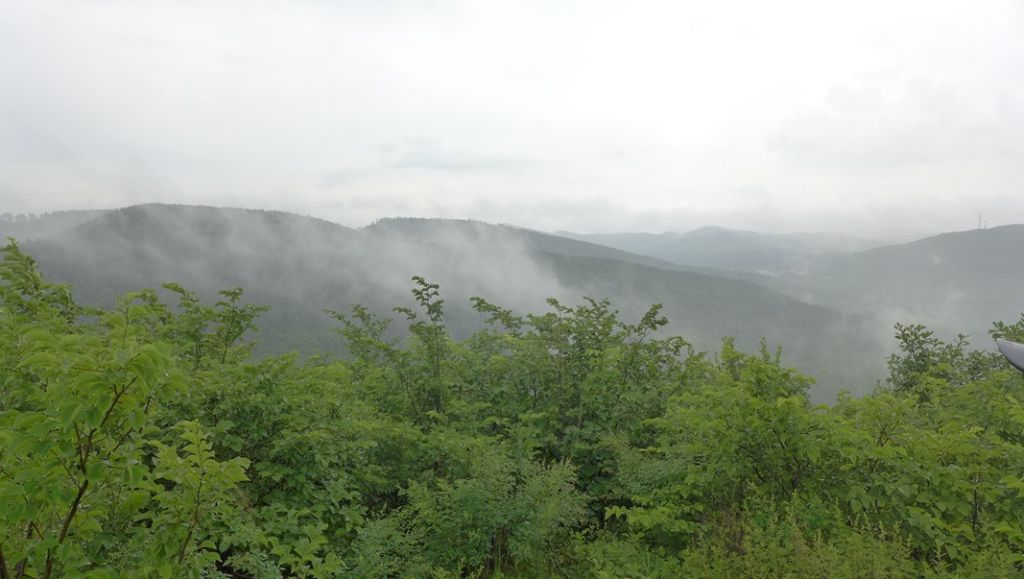 P1000771.JPG