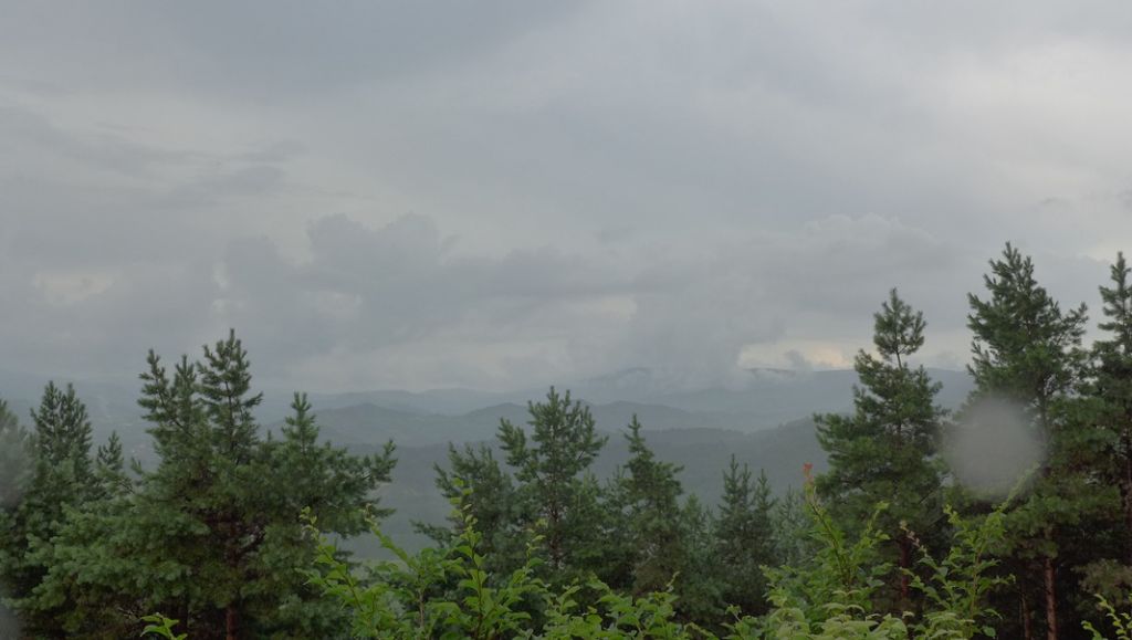 P1000777.JPG
