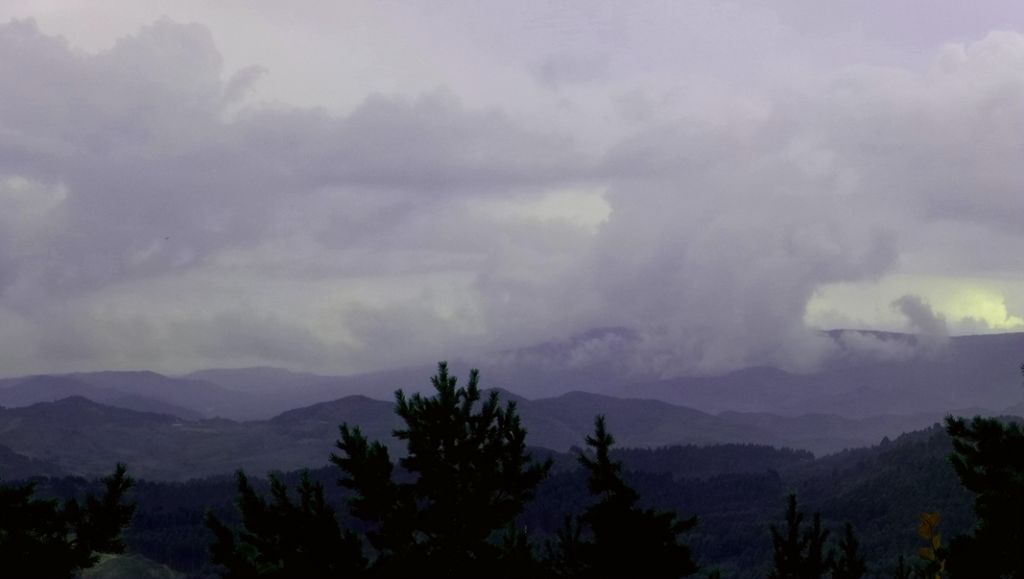 P1000778.JPG