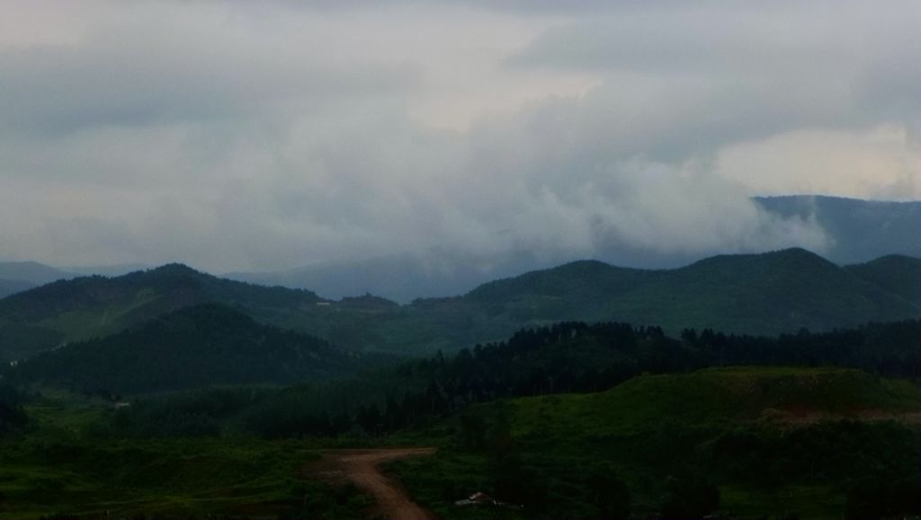 P1000792.JPG