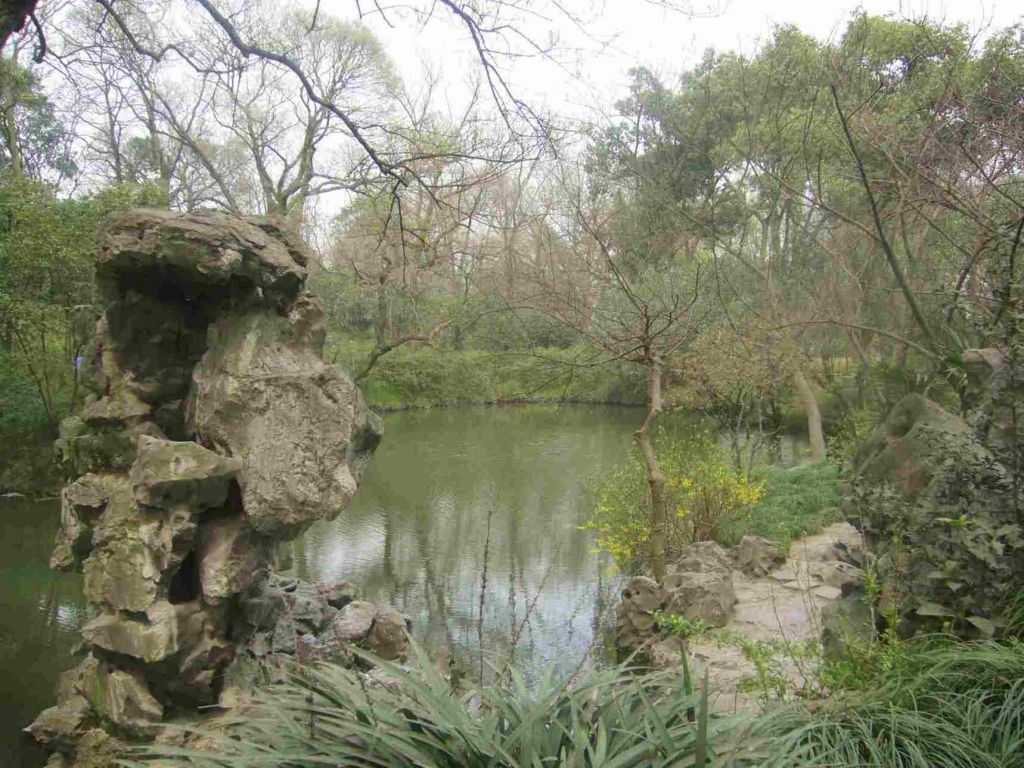 P1000887.JPG