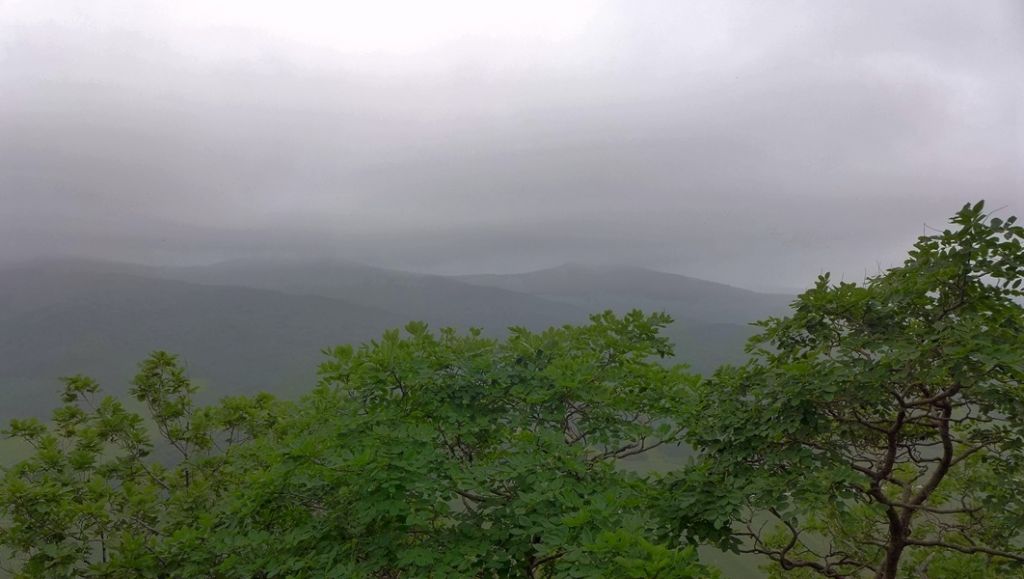 P1010077.JPG
