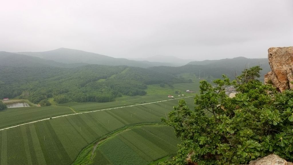 P1010108.JPG