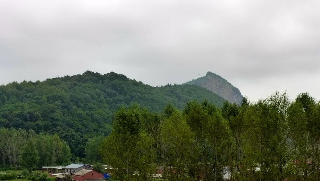 P1010159.JPG