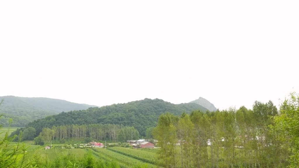 P1010156.JPG