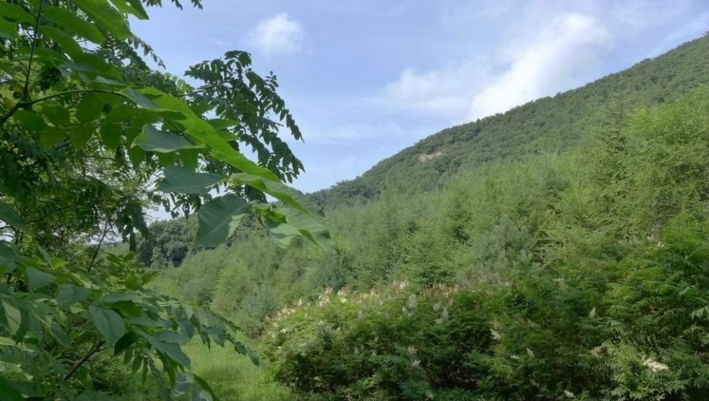 P1010175.JPG