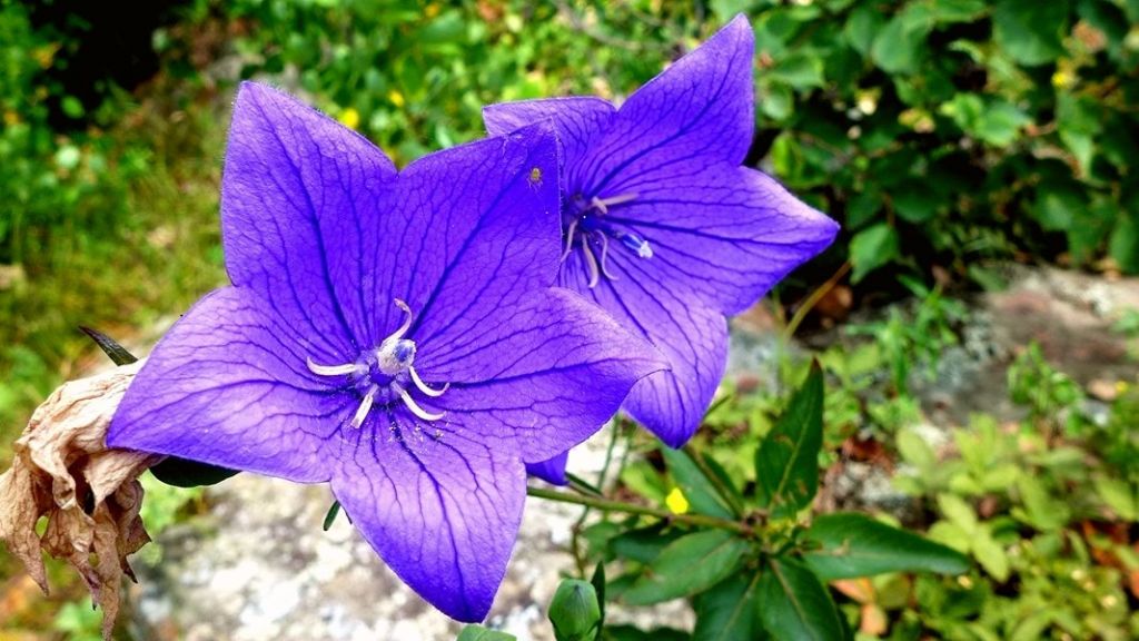 P1010201.JPG