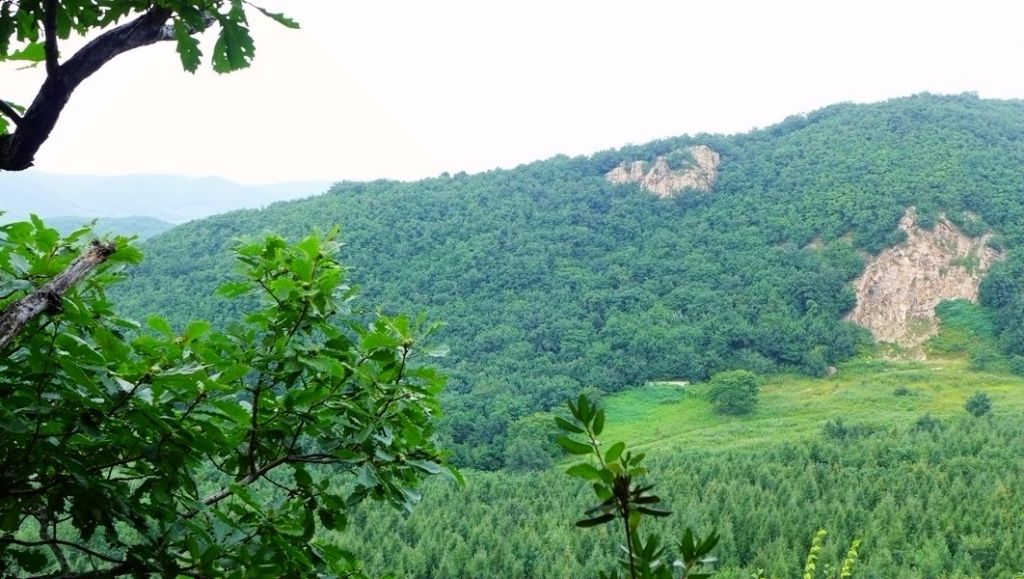 P1010210.JPG