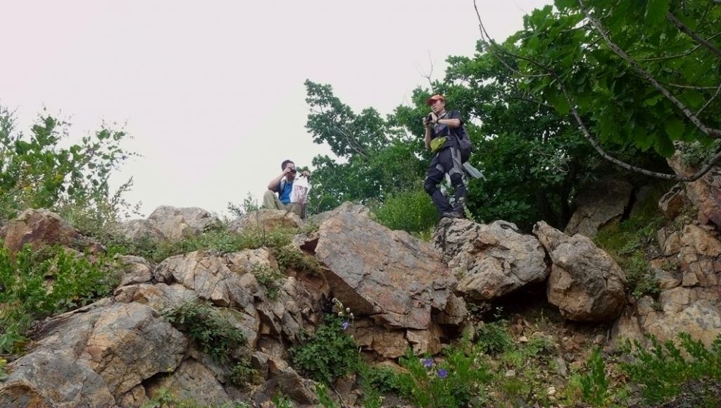 P1010219.JPG