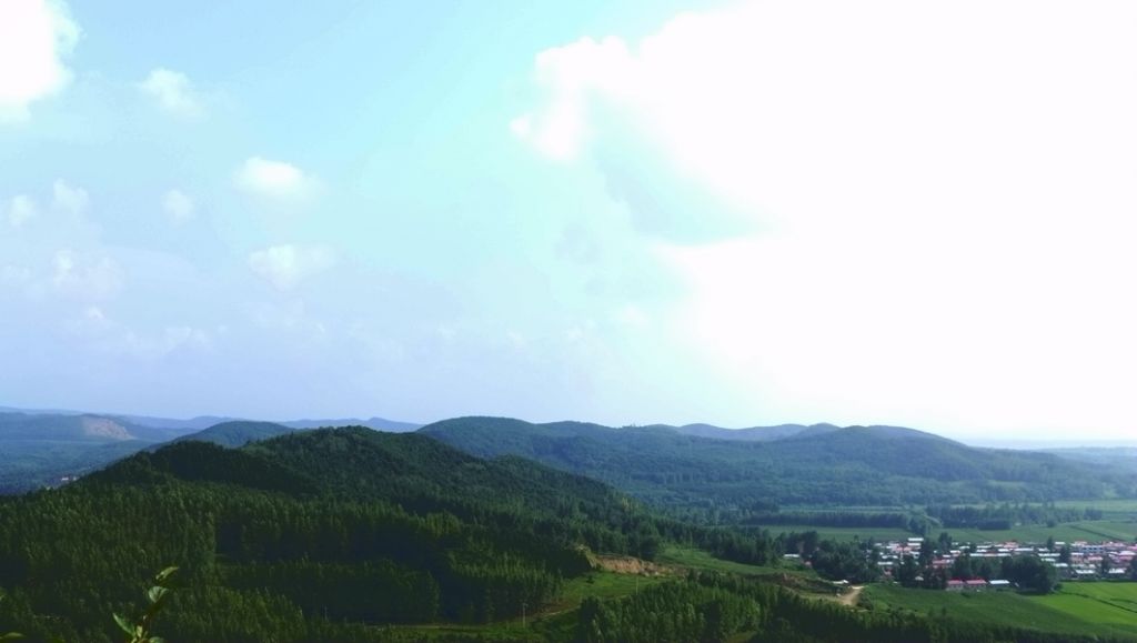P1010255.JPG